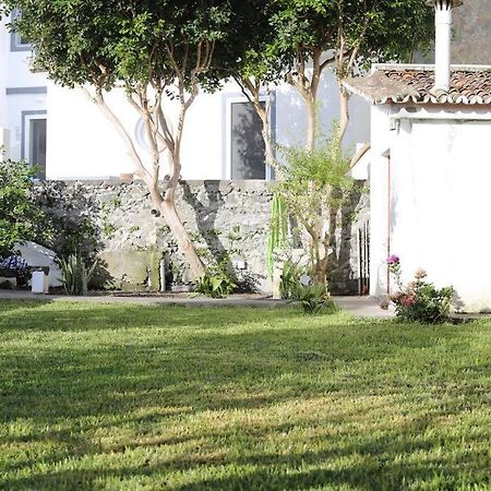 City Center, 200 Meters To Marina, Walk To Everything, Private Yard And Garden Ponta Delgada  Bagian luar foto