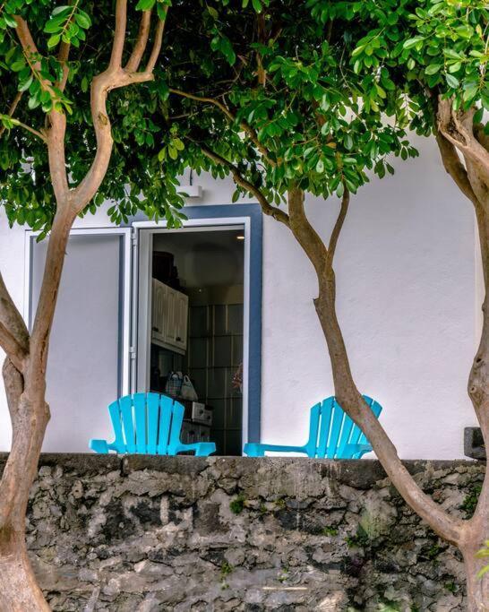 City Center, 200 Meters To Marina, Walk To Everything, Private Yard And Garden Ponta Delgada  Bagian luar foto